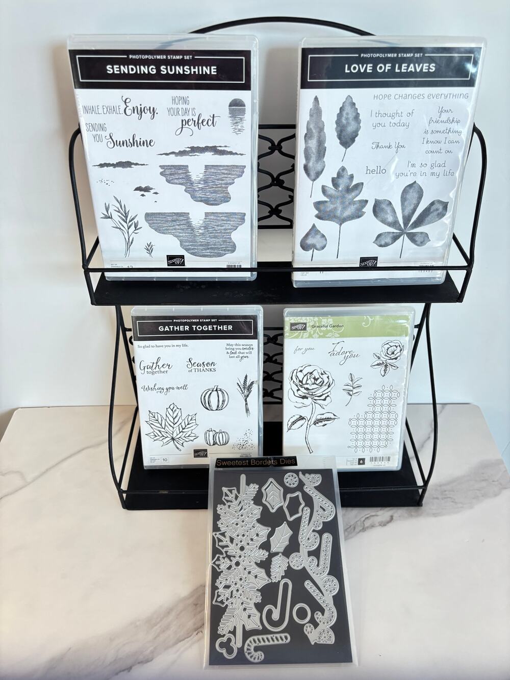 Stampin Up Autumn Fall Leaf Stamp Set + Dies Bundle 🍁 Cottagecore Crafting